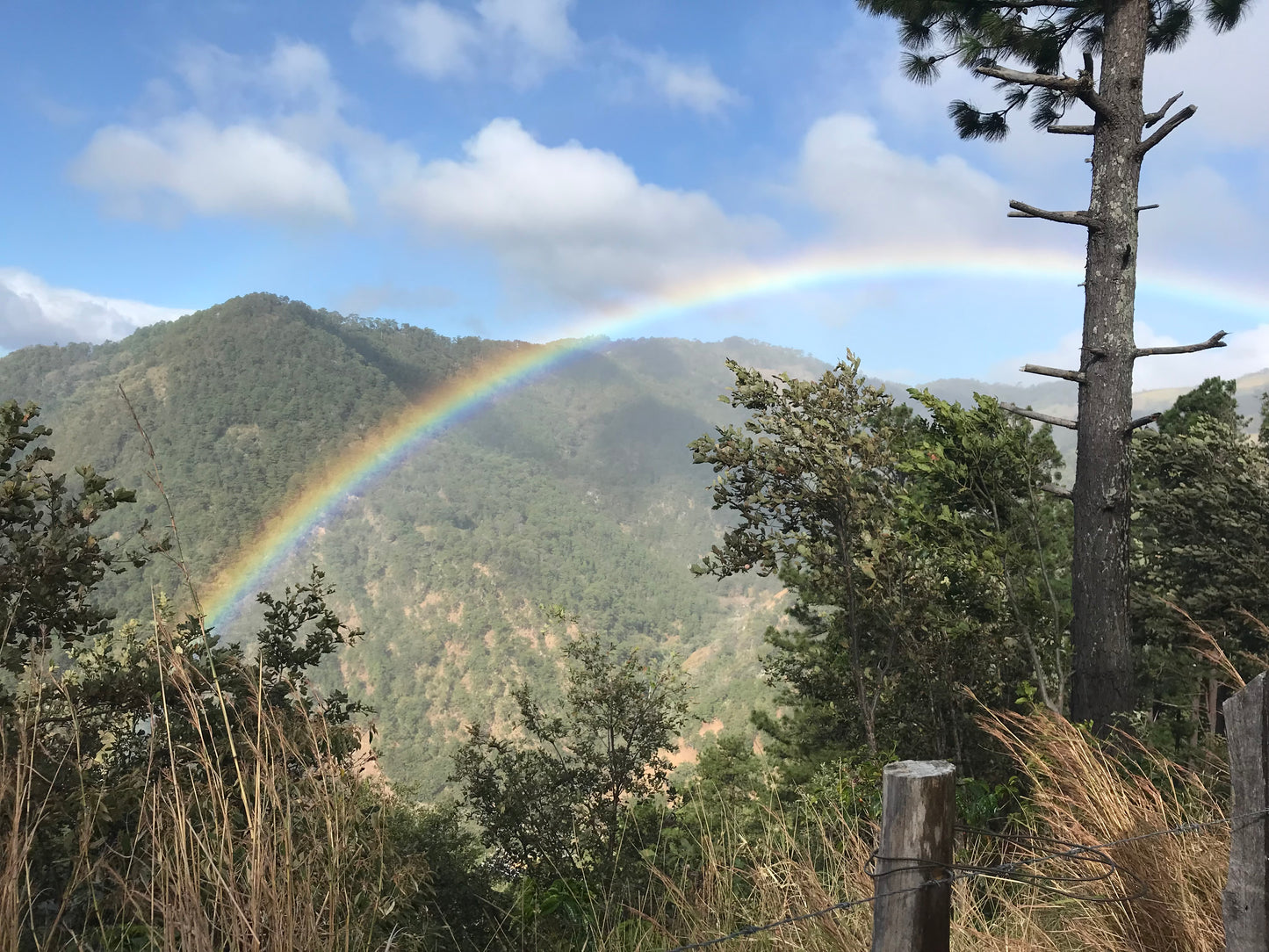 EL SALVADOR EL BRUJO