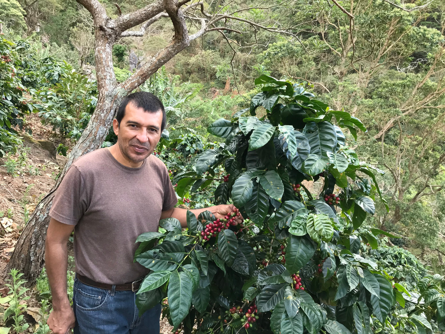 EL SALVADOR EL BRUJO