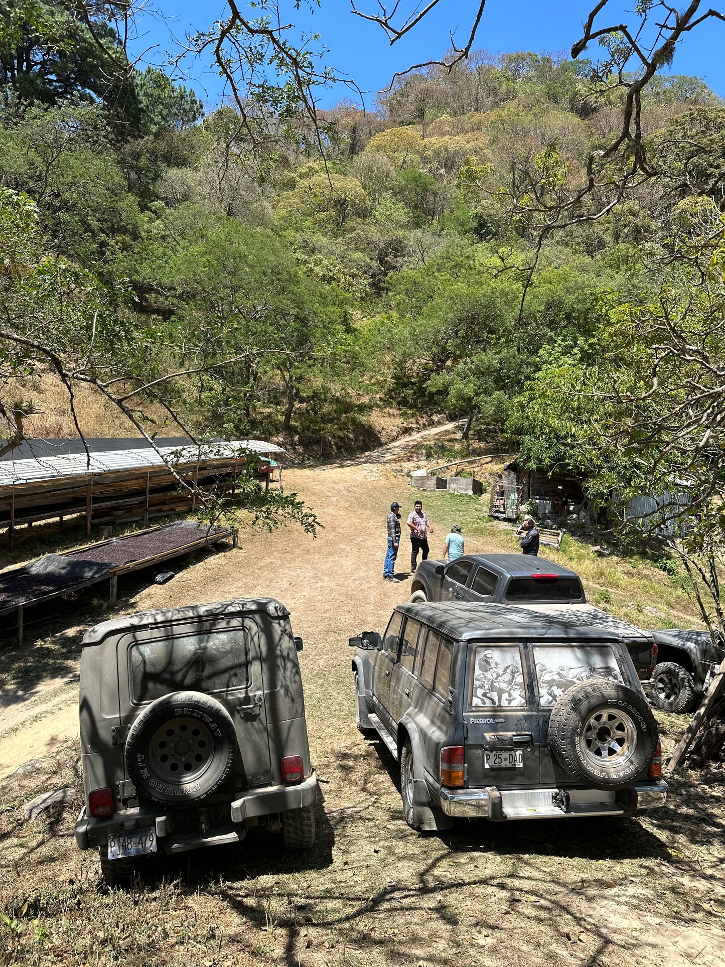 EL SALVADOR LA HONDURITA GESHA