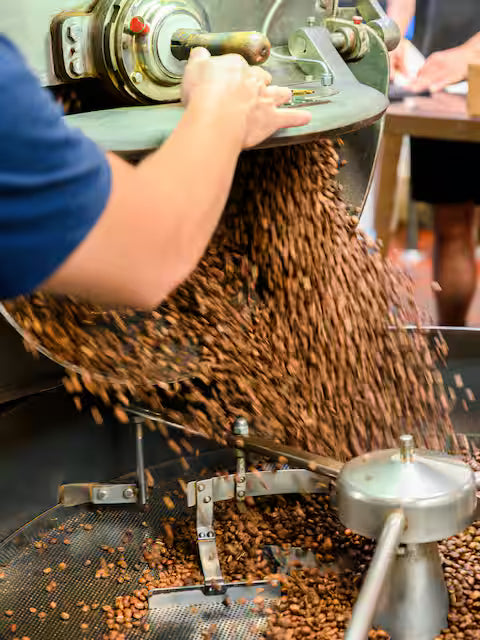 Coffee beans being processed in a large machine with a person's hand visible.