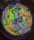 Hemispherical Bespangled & Adorned