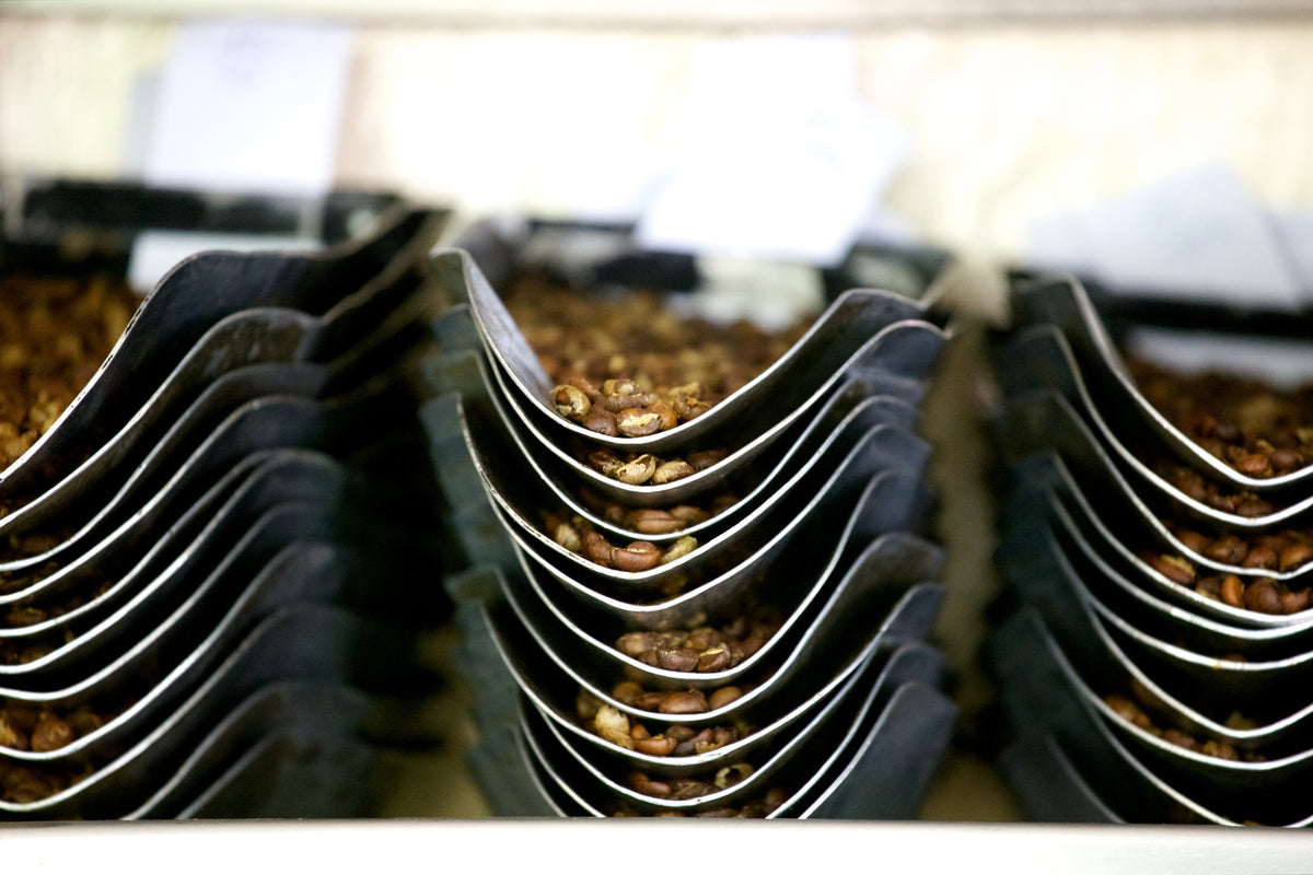 A stack of metal scoops, each containing KENYA NGUNGURU roasted coffee beans.