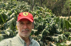 A person standing in a field of coffee plants, wearing a red cap with a Ferrari logo and a green shirt.