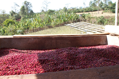 ETHIOPIA HABATMU FEKADU AGA