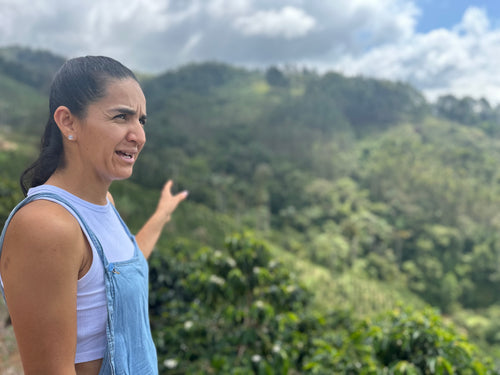 A woman stands in a field of COLOMBIA EL MESON, pointing toward lush, hilly mountains in the distance.