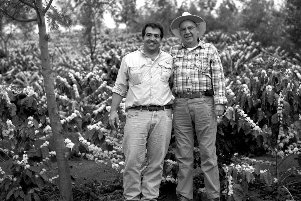 Guatemala Buena Vista